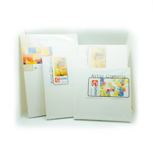 GENII Canvas Stretched - 3/4'' x 10'' x 10'' 1.7cm x 25cm x 25cm (Back Stapled) BS171010